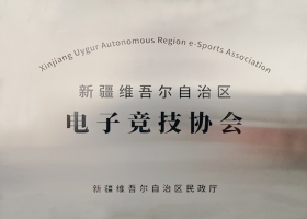 新疆維吾爾自治區(qū)電子競(jìng)技協(xié)會(huì)